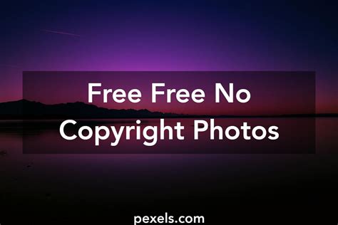 copyright free photos|free images without subscription.